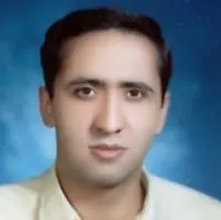 حامد فرزانه کاری